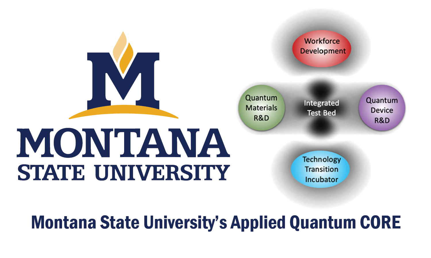 MSU Applied Quantum Core Logo